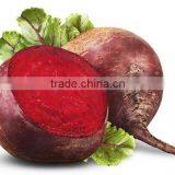 Fresh Vegetables Suppliers thumbnail-3