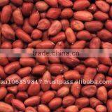 PEANUT BLANCHED PEANUT KERNEL thumbnail-1