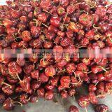 Dry Round Red Chilli From India thumbnail-4