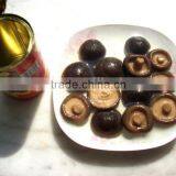 Canned Whole Button Mushroom thumbnail-4