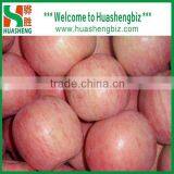 Fresh Fuji Apple Selling in China (Varieties: Fuji, Huaniu, Gala, Golden,qinguan, Red Star) thumbnail-3