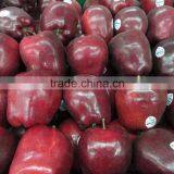 80# Huaniu Apple thumbnail-4