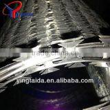 Stainless Steel Spikes thumbnail-1