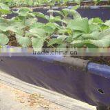 Film Fastness Clamp for Grape Planting thumbnail-1