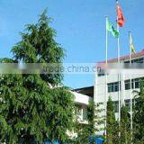 Qixia Zhenhua Industrial Co., Ltd. company overview - view 2 thumbnail