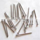 Polished Iron Nails ,steel Common Nails for Building thumbnail-6