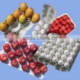 Fruit Tray thumbnail-1