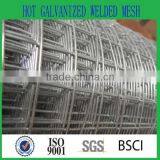 Galvanized Welded Wire Mesh/mesh Fence for Sheep / Wire Mesh Fence thumbnail-5
