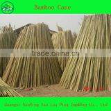 Raw Pole Fabric Bamboo
