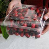 Disposable Fruit Plastic Packaging Container for Blueberry thumbnail-4