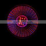 New Model 12W Spot COB Led Grow Light for Small Pot Plant Growing thumbnail-5