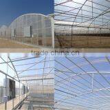 Polycarbonate Agricultural Greenhouse Sheet (Valuview ROMA) thumbnail-2