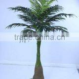SJ12001163 Top Selling Palm Tree/mini Palme Plant Craft thumbnail-4