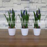 Plastic Hyacinth Flower Bonsai for Home and Commercial Decoation thumbnail-5