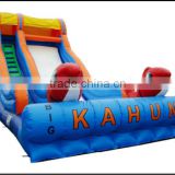 (HD-9406)Light Up Your Dream!Hot Sale Colorful Outdoor Kids Inflatable Slide