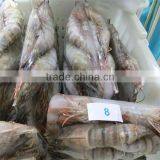 Deep Sea Frozen Headless Black Tiger Shrimp thumbnail-1