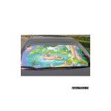 EPE Foam Sun Shade thumbnail-1