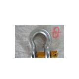 SLR-364 G209  BOW SHACKLE WITH SCREW PIN