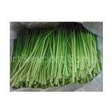 Green BRC IQF Frozen Root Vegetables With 18 Months Shelf Life thumbnail-1