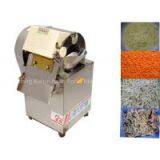 Vegetable Slivers Cutter