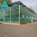 Economic Agricultural 0.15kn/m² Glass Greenhouse