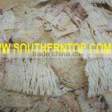 Roasted Squid thumbnail-3