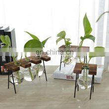 Desktop Bulb Vase Water Planting Glass Vase With Wood Rack