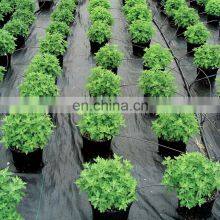 Cloth Weed Control Mat Anti Weed Fabric, Ground Cover for Flower Bed thumbnail-5
