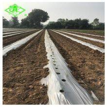 Factory Direct Sales of Silver Shine Plastic Mulch Films thumbnail-5