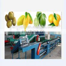 Dried Fruit Chips Pineapple Slices Grading Machine thumbnail-2