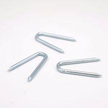 Q195 Carbon Steel U Type Nails for Fence Staples With Zinc Plating thumbnail-2