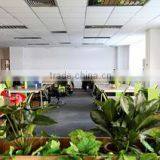 Shenzhen House Lighting Co., Ltd. company overview - view 1 thumbnail