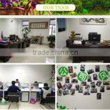 Fujian Anxi Walden Crafts Co., Ltd. company overview - view 2 thumbnail