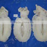 FROZEN CUTTLEFISH WHOLE CLEANED I F thumbnail-2