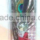 Glass bottle reed diffuser with feather