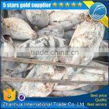 10kg Frozen Yellowfin Tuna Fish Seafood Caught by Traw, Gill Off, Tail Off, Gutted thumbnail-1