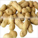 Peanut in Shell 2014 New Crop