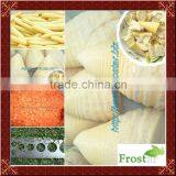 Frozen vegetables from China