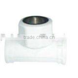 Within Three Teeth thumbnail-1