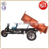 HZ800DCY-17C auto rickshaw for ore/brick