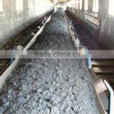 General /Common Conveyor Belt thumbnail-1