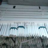 Hawk Kite Bird Scarer From the Kite Factory thumbnail-3