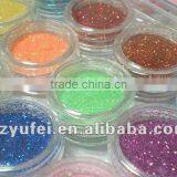 12 Color Glitter Sparkle Powder Nail Art Makeup Body Painting thumbnail-1