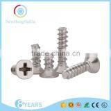 China Product Self Tapping Screw for Iron and Stainless Steel thumbnail-1