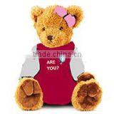 logo giveaway toy plush stuffed soft Retro Plaid Collar Dress Teddy Bear t-shirt bandana custom imprinted gift toy