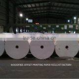 Printing & Writing Paper