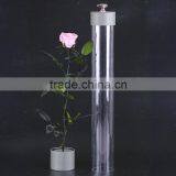 2016 Yiwu Aimee Wholesale Fresh Colorful Preserved Flower(AM-PF08) thumbnail-4