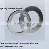High Performance Neodymium Magnet for Speaker