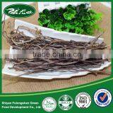 100% Nature Orinanic Dried Fern,raw Salted Ferns,delicious Salted Ferns thumbnail-3