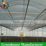 Strong Structure Galvanized Polytunnel Greenhouse thumbnail-3